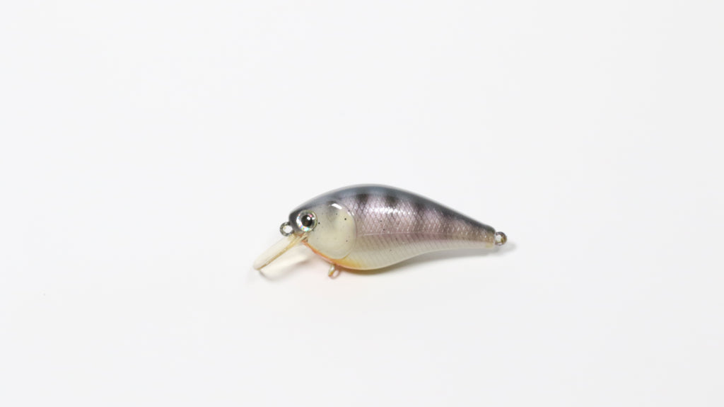 L2 - Ghost Shad
